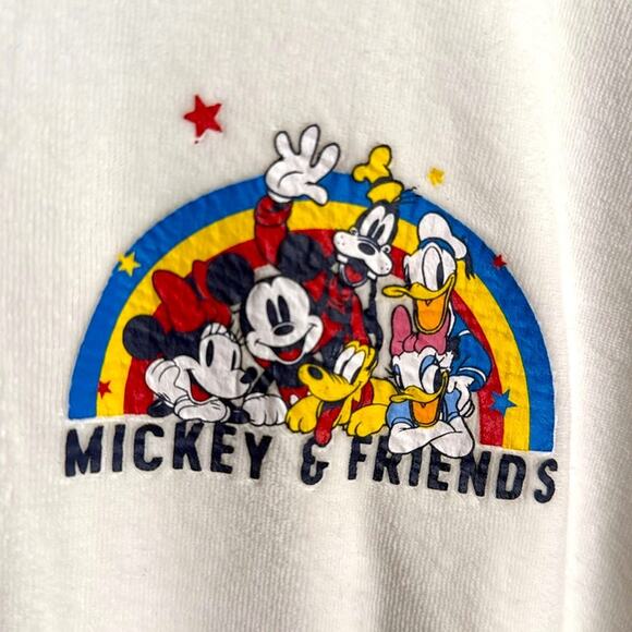 Disney Spirit Jersey Feeling Classic Rainbow Cast Striped Velour W1795 Sz XL - Picture 2 of 8